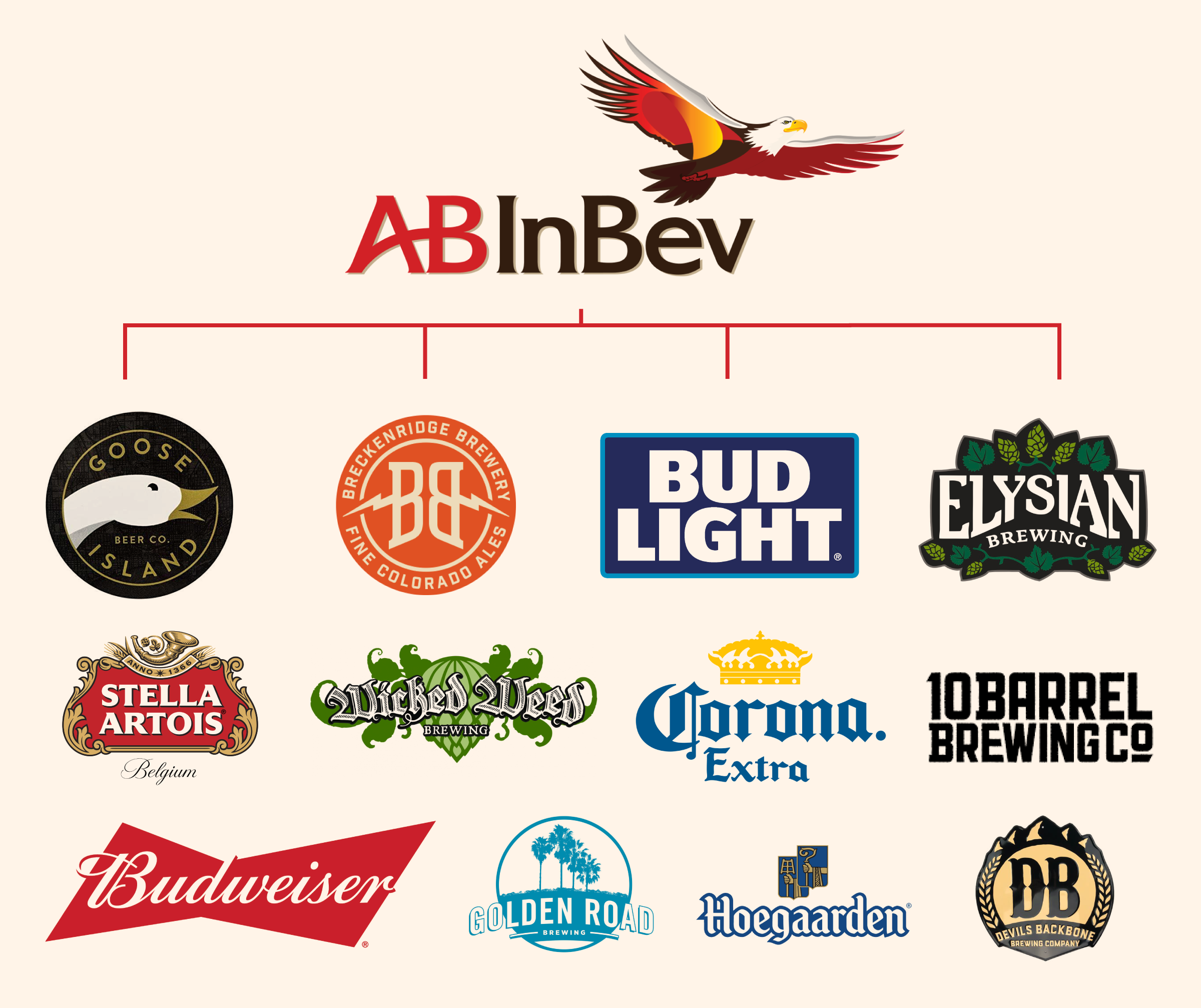 Craft Beer Brand Architecture Frameworks CODO Design