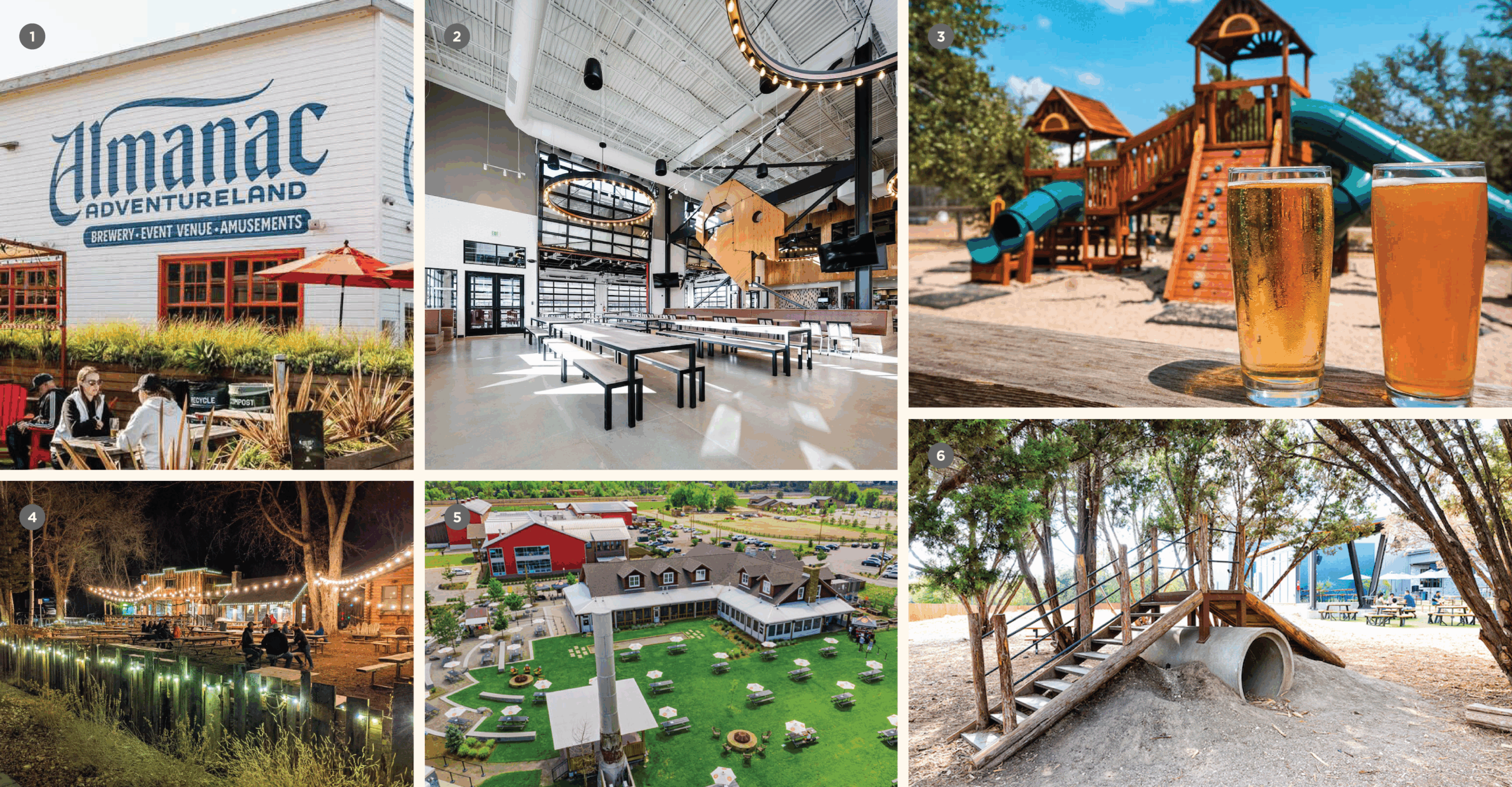 CODO Design 2026 Beer Branding Trends - Taprooms, Patios and Brewery Playscapes